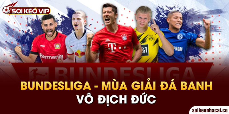 Bundesliga - mùa giải đá banh Vô địch tại Đức