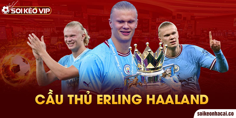 Cầu thủ Erling Haaland
