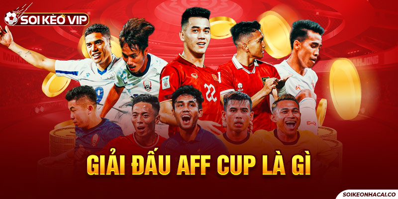 Đôi nét tổng quan về giải bóng đá Đông Nam Á AFF Cup 