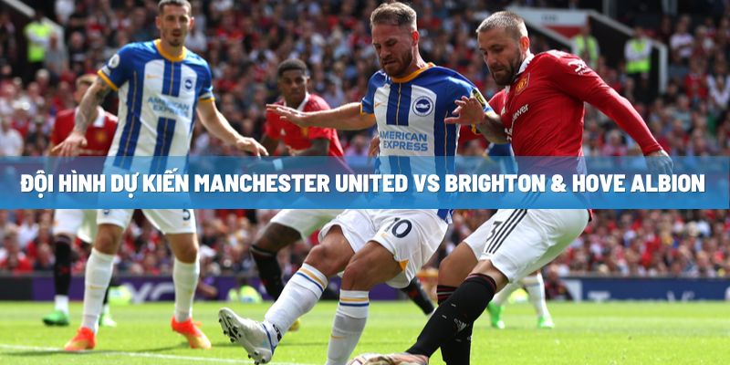 Đội hình dự kiến Manchester United vs Brighton & Hove Albion