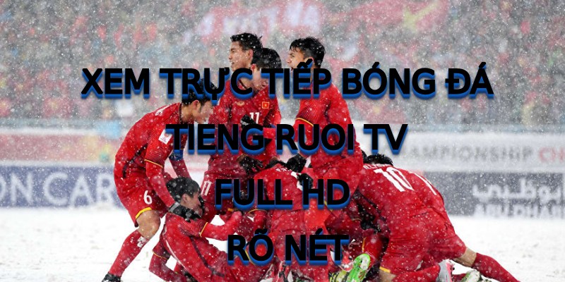 Tiengruoi tv